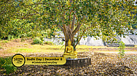 Bodhi Day
