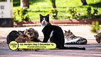 Cat Herders Day