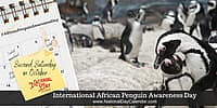 International African Penguin Awareness Day - Second Saturday in October