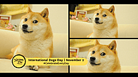 International Doge Day