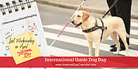 International Guide Dog Day - Last Wednesday in April