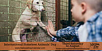 INTERNATIONAL HOMELESS ANIMALS’ DAY – Third Saturday in August