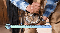 International Hoof Care Week | Begins Third Thursday in January