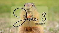 JUNE 3 | Birthdays and Events