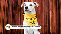NATIONAL ADOPT A SHELTER PET DAY  April 30