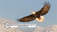 NATIONAL AMERICAN EAGLE DAY  June 20
