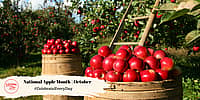 National Apple Month | October