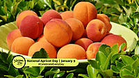 National Apricot Day