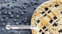 NATIONAL BLUEBERRY PIE DAY  April 28
