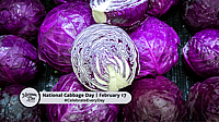 NATIONAL CABBAGE DAY - February 17 