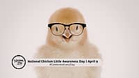 National Chicken Little Awareness Day