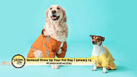 Dress Up Your Pet Day