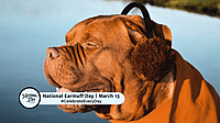 NATIONAL EARMUFF DAY  March 13