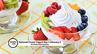 NATIONAL FROZEN YOGURT DAY - February 6 