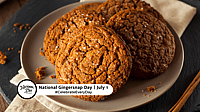 NATIONAL GINGERSNAP DAY  July 1