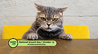 National Grouch Day