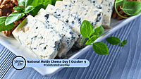 National Moldy Cheese Day