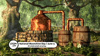 NATIONAL MOONSHINE DAY  June 5