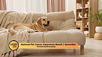National Pet Cancer Awareness Month | November