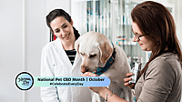 National Pet CBD Month