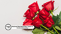 NATIONAL RED ROSE DAY  June 12