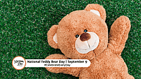 NATIONAL TEDDY BEAR DAY  September 9