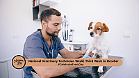 National Veterinary Technician Week