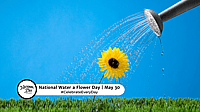 NATIONAL WATER A FLOWER DAY  May 30