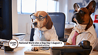 NATIONAL WORK LIKE A DOG DAY  August 5