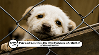 PUPPY MILL AWARENESS DAY  September 21
