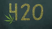 420 DAY  April 20
