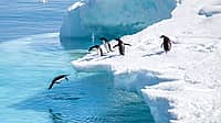 Antarctica Day