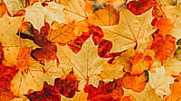 AUTUMNAL EQUINOX  Changes Annually