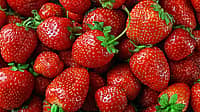 NATIONAL CALIFORNIA STRAWBERRY DAY  March 21