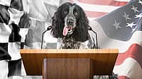 NATIONAL CHECKERS DAY AND DOGS IN POLITICS DAY  September 23