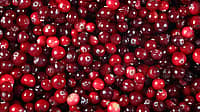 National Eat A Cranberry Day