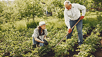 NATIONAL GARDENING EXERCISE DAY  June 6