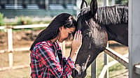  NATIONAL HELP A HORSE DAY  April 26
