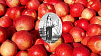 NATIONAL JOHNNY APPLESEED DAY  September 26