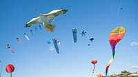NATIONAL KITE FLYING DAY - February 8 