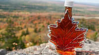 National Maple Syrup Day