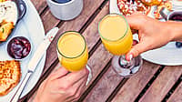NATIONAL MIMOSA DAY  May 16