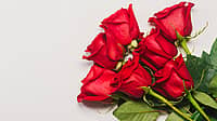 NATIONAL RED ROSE DAY  June 12