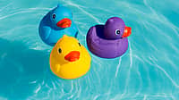 National Rubber Ducky Day