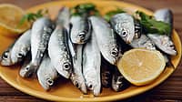National Sardines Day