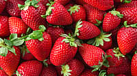 NATIONAL STRAWBERRY DAY - February 27 