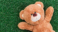 NATIONAL TEDDY BEAR DAY  September 9