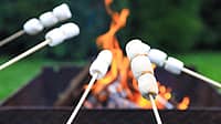 NATIONAL TOASTED MARSHMALLOW DAY  August 30