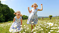 NATIONAL UPSY DAISY DAY  June 8