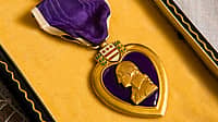 PURPLE HEART DAY  August 7